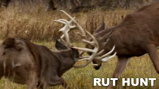 The Perfect Whitetail Rut Hunt at Legends Ranch