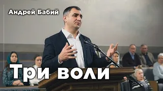 Три воли | Андрей Бабий