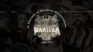 22-Pantera - Domination (Cowboys From Hell - 1990)