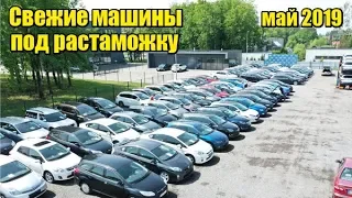 Сколько стоят машины от 2012 года в Литве? Реальные цены на Passat b7, Megane 3, Prius, Octavia A7