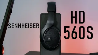 Sennheiser HD 560S Review