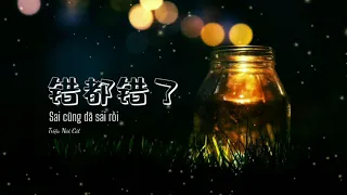 Vietsub -Pinyin | SAI CŨNG SAI RỒI | Triệu Nãi Cát - 错都错了 | 赵乃吉