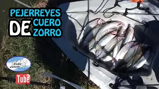 PEJERREY CUERO DE ZORRO