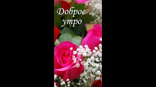 Доброе утро / Хорошего дня / Музыкальная открытка / Открытка на каждый день /