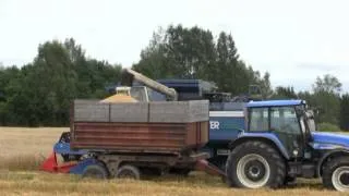 MDW ErnteMeister 525, New Holland Tm155 Estonia Sügis 2012.mpg