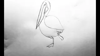 Pelican Walk Cycle (Hand-drawn animation)