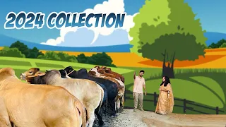 Huge Deshal Holstein Show Time from Sadeeq Agro || Jom Jomat Sadeeq Agro 2024 ||