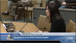 Legislative Task Force on Child Protection - 01/11/24