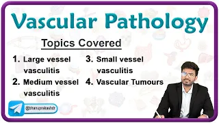 🩸🛤️ Vascular Pathology ( Part 1 ) : Vasculitis & Atherosclerosis!🔬 Pathology Chapter - 4