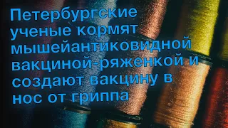 Петербургские ученые кормят мышейантиковидной вакциной-ряженкой и создают вакцину в нос от гриппа