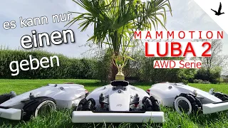 Luba 2 AWD Bester Mähroboter ohne Begrenzungskabel🚩mit vielen interessanten Mähtipps