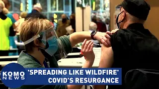 'Spreading like wildfire': COVID resurges