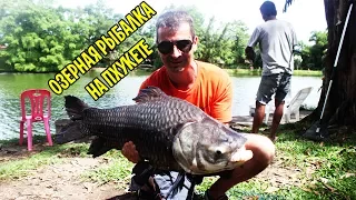 Озерная рыбалка на Пхукете.  Lake fishing Thailand Phuket