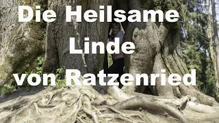 Mysteriöse Orte Teil 7 I Die Heilsame Linde von Ratzenried