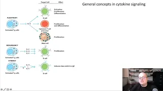 3.1: Principles of Cytokine Signaling