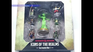 D&D Icons of the Realms, Saltmarsh Box 1, A Quick Review