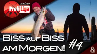 Dieser Morgen bringt Fisch! Profi-Liga S5F4