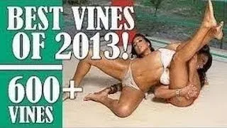 600 Best Vines of 2013