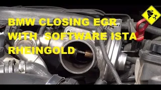 BMW CLOSING EGR WITH SOFTWARE ISTA RHEINGOLD