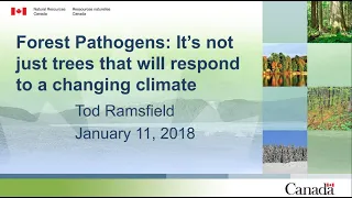 Forest Pathogens: It's not just trees that will respond to a changing climate