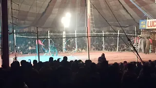 Lucky irani circus mela bodhianwala by datasound409