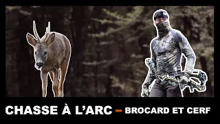 CHASSE A L'ARC (FR) / CERFS ET BROCARDS / 2020 / BOWHUNTING