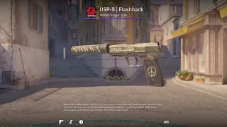 USP-S | Flashback in Couter Strike 2 CS2