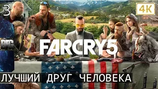 Прохождение Far Cry 5 — Часть 3: Лучший друг человека [4К] (без комментариев)