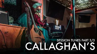 Tin Whistle Lesson: Callaghan's (The Galtee Rangers) Reel