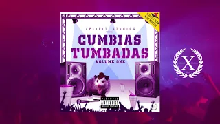 Cumbias Tumbadas Vol1 [30min Wepa Mix ]