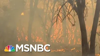 What Changes Need To Happen Now For Climate Change | Velshi & Ruhle | MSNBC