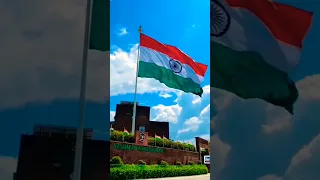 Indian flag /tiranga flag status #shorts #video #youtubeshorts