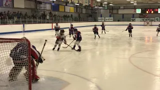 Kosta Jr. Stafylakis 8 year old hockey player / scored like Connor MacDavid