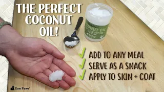 Coconut Oil for Dogs & Cats