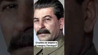 Сталин не верил в смерть Гитлера?