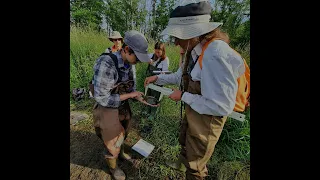 Turtle Research at Eagle Marsh 2022   Made with Clipchamp