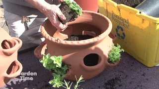 Planting a Herb container