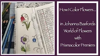 How I Color Flowers...in JB's World of Flowers with Primsacolor Premiers