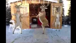 Santa and Reindeer Dancing - Merry Christmas - Happy New Year 2024