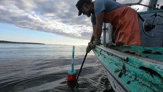 Lobstering summer 2018