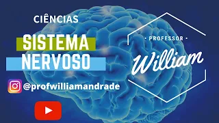 RESUMO Sobre o Sistema Nervoso | Ciências com William