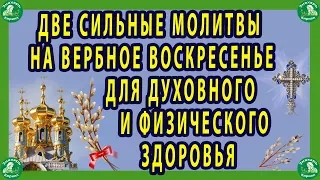 МОЛИТВЫ НА ВЕРБНОЕ ВОСКРЕСЕНЬЕ! ✝☦ СЛОВА МОЛИТВ СПОСОБНЫ ПОБЕДИТЬ ДАЖЕ СМЕРТЬ! ✝ Знахарь-Кирилл 🧙