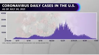 CDC internal report calls Delta variant as contagious as chickenpox