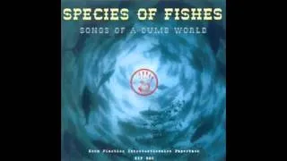 Species of Fishes - Songs of a Dumb World (Full Album, Russia - Netherlands, 1994)