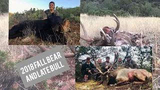 2018 Arizona Late Rifle Bull and Fall Bear Hunt