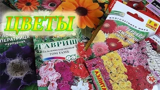 Какие цветы можно еще посеять с апреля по май.Новое приобретение.