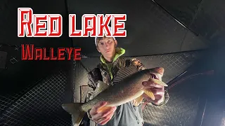 CRUSHING Red Lake WALLEYES (Garmin Panoptix)