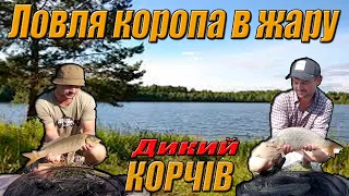 ЛОВИМ КОРОПА В ЖАРУ.Нарешті розмочив КОРЧІВ.