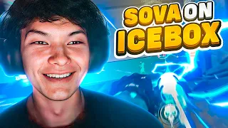 WHY SINATRAA STARTED PLAYING SOVA ON ICEBOX ?!