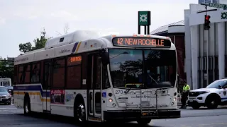 The Bee-Line System: 2009 NABI-40-LFW Hybrid #270 and #280 on Route 42